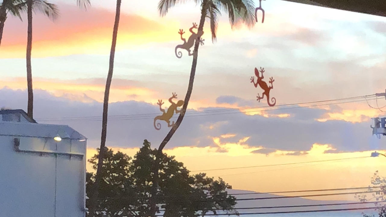 Photo of Others in Kihei