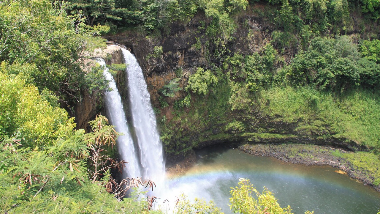 Photo of Others in Princeville