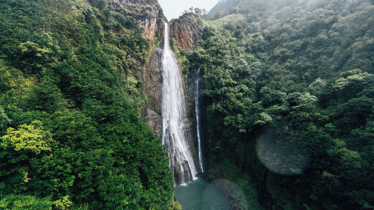 Photo of Others in Princeville