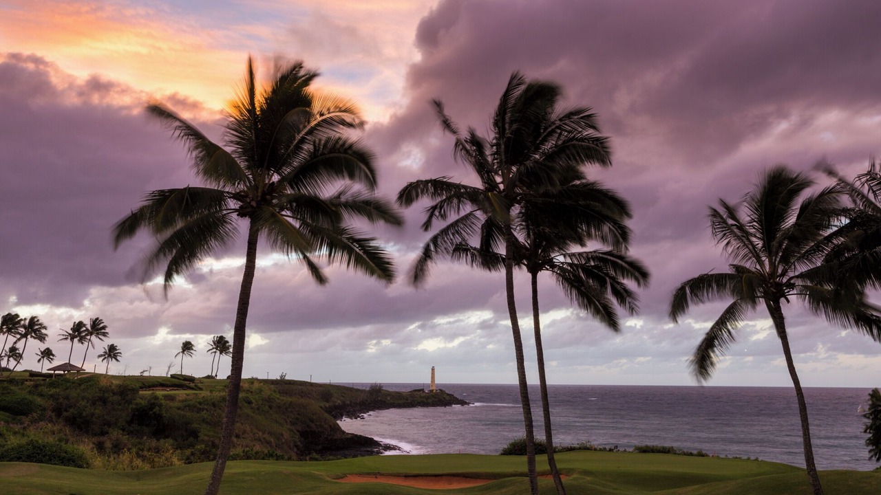Photo of Others in Princeville