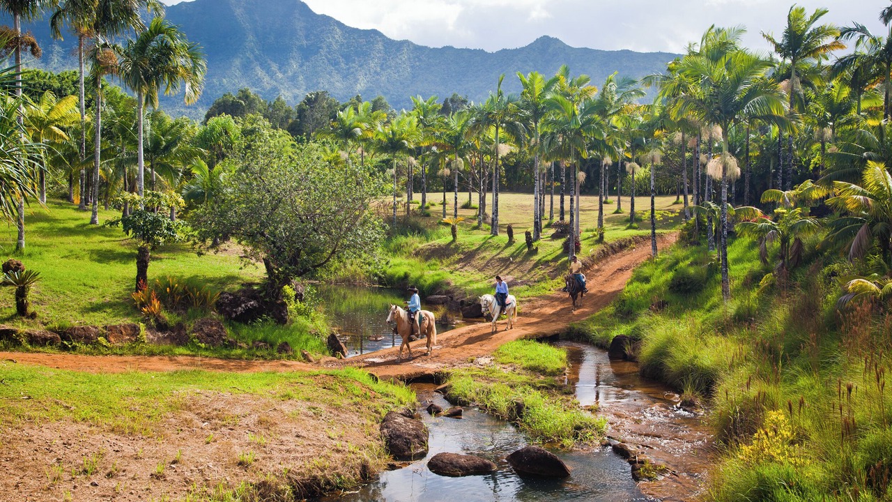 Photo of Others in Princeville