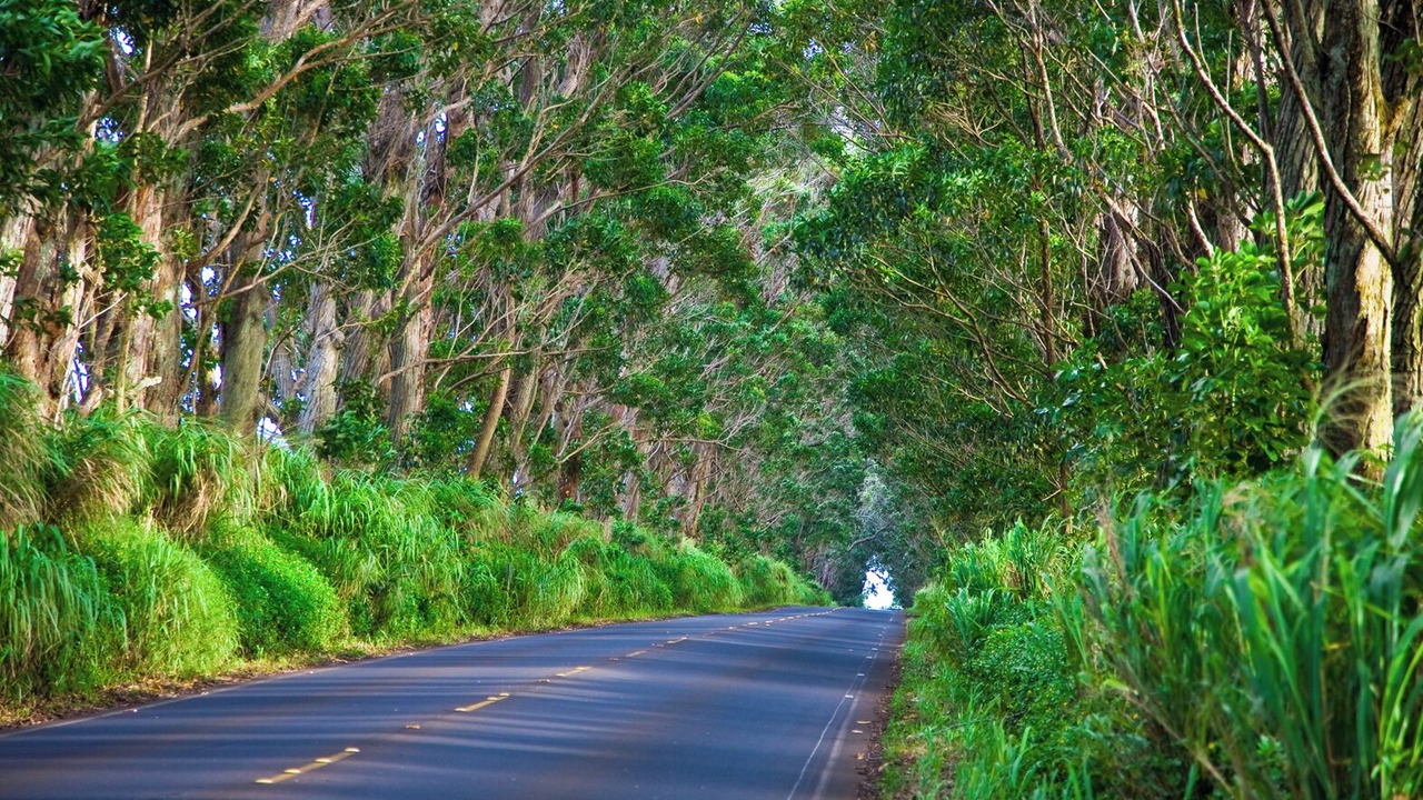 Photo of Others in Princeville