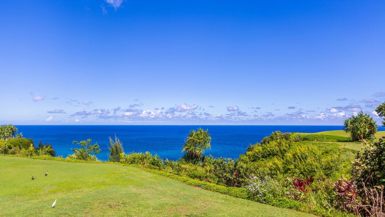 Photo of Others in Princeville