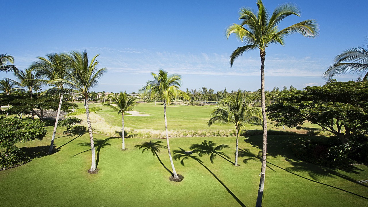 Photo of Others in Waikoloa
