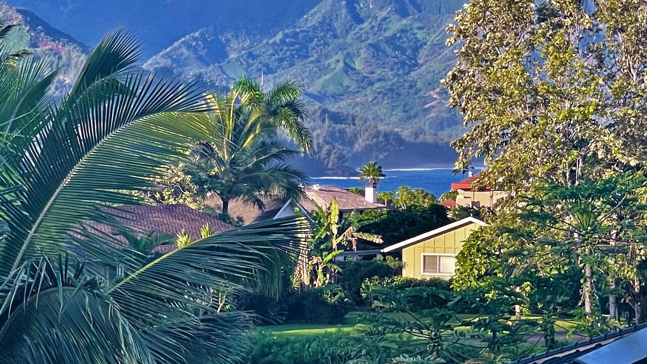 Photo of Others in Princeville