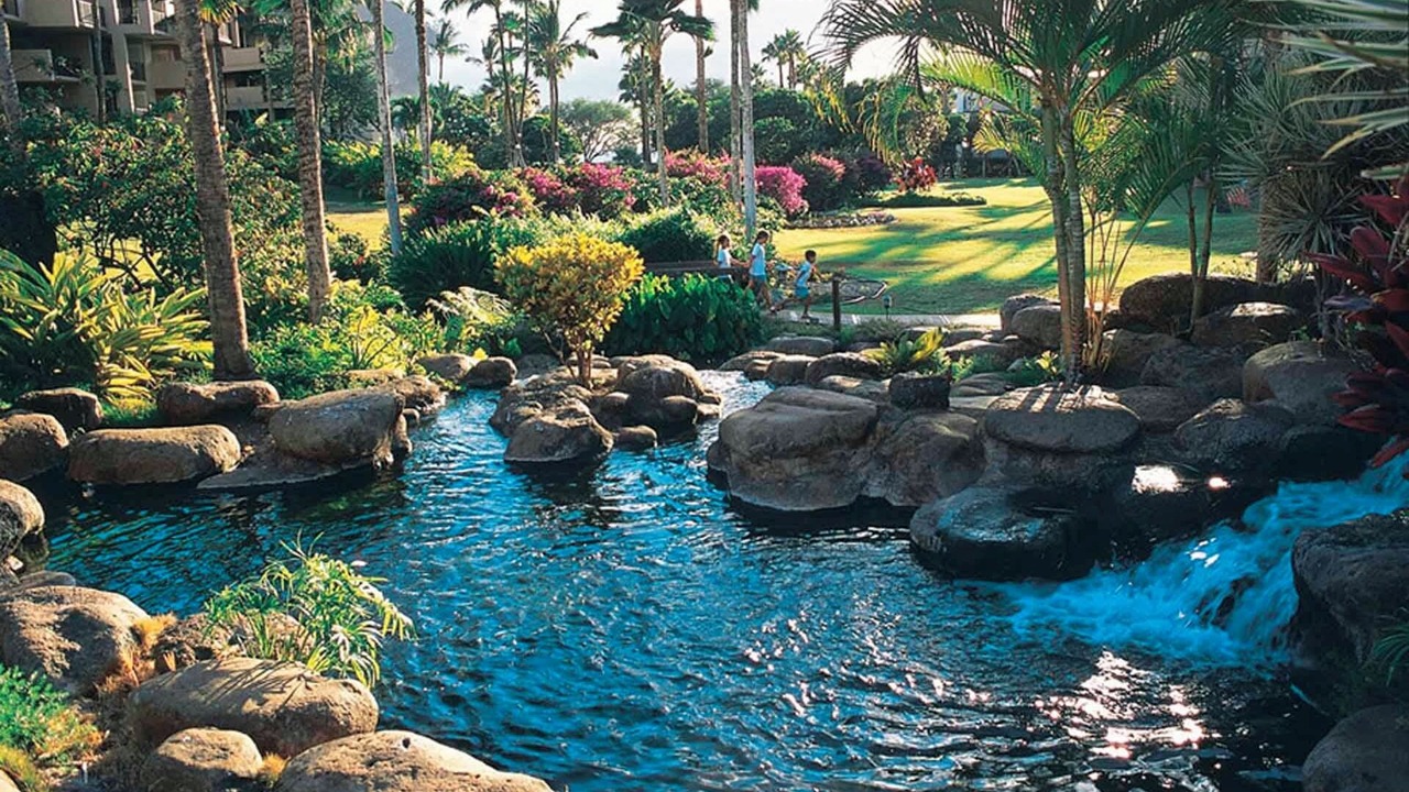 Photo of Outdoor in Kihei