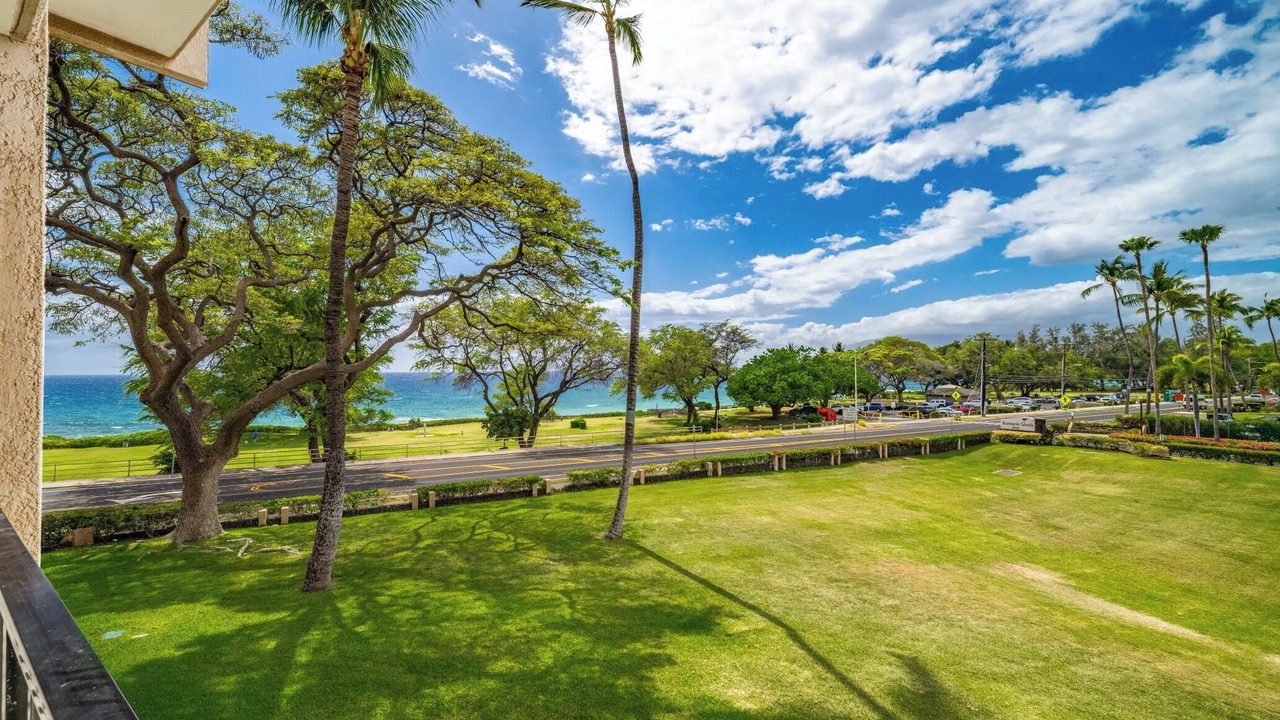 Photo of Outdoor in Kihei