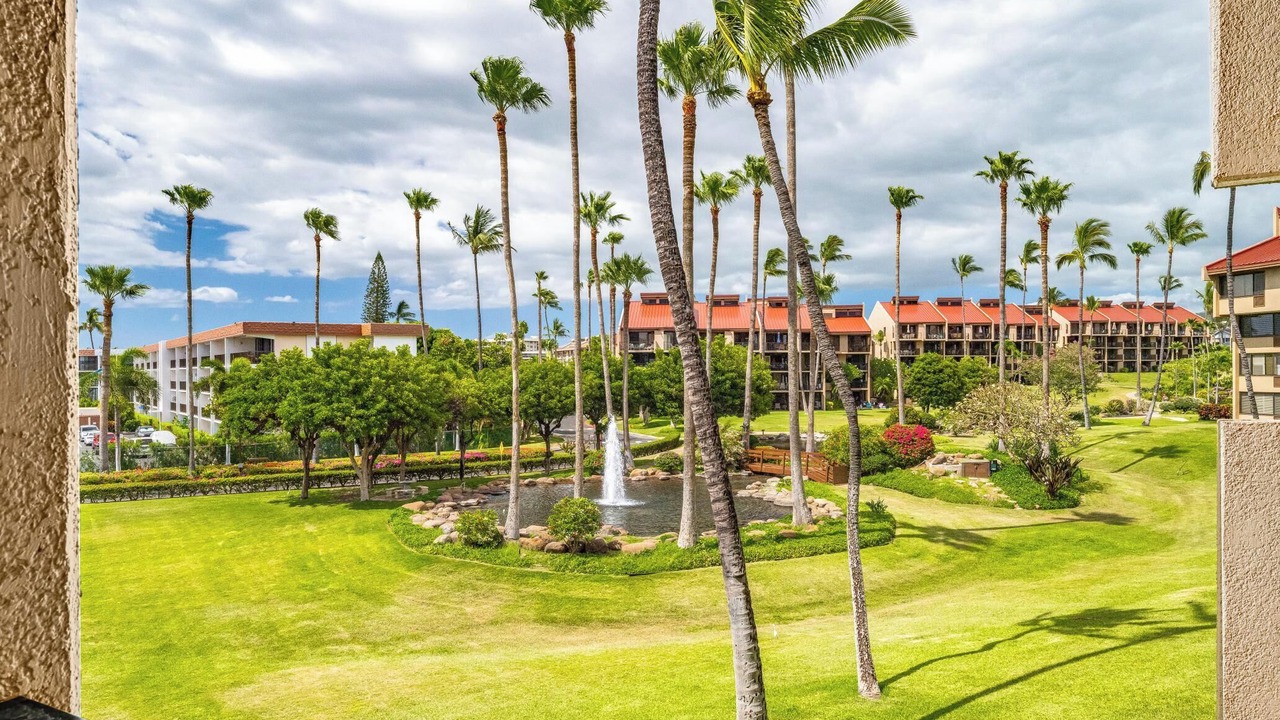 Photo of Outdoor in Kihei