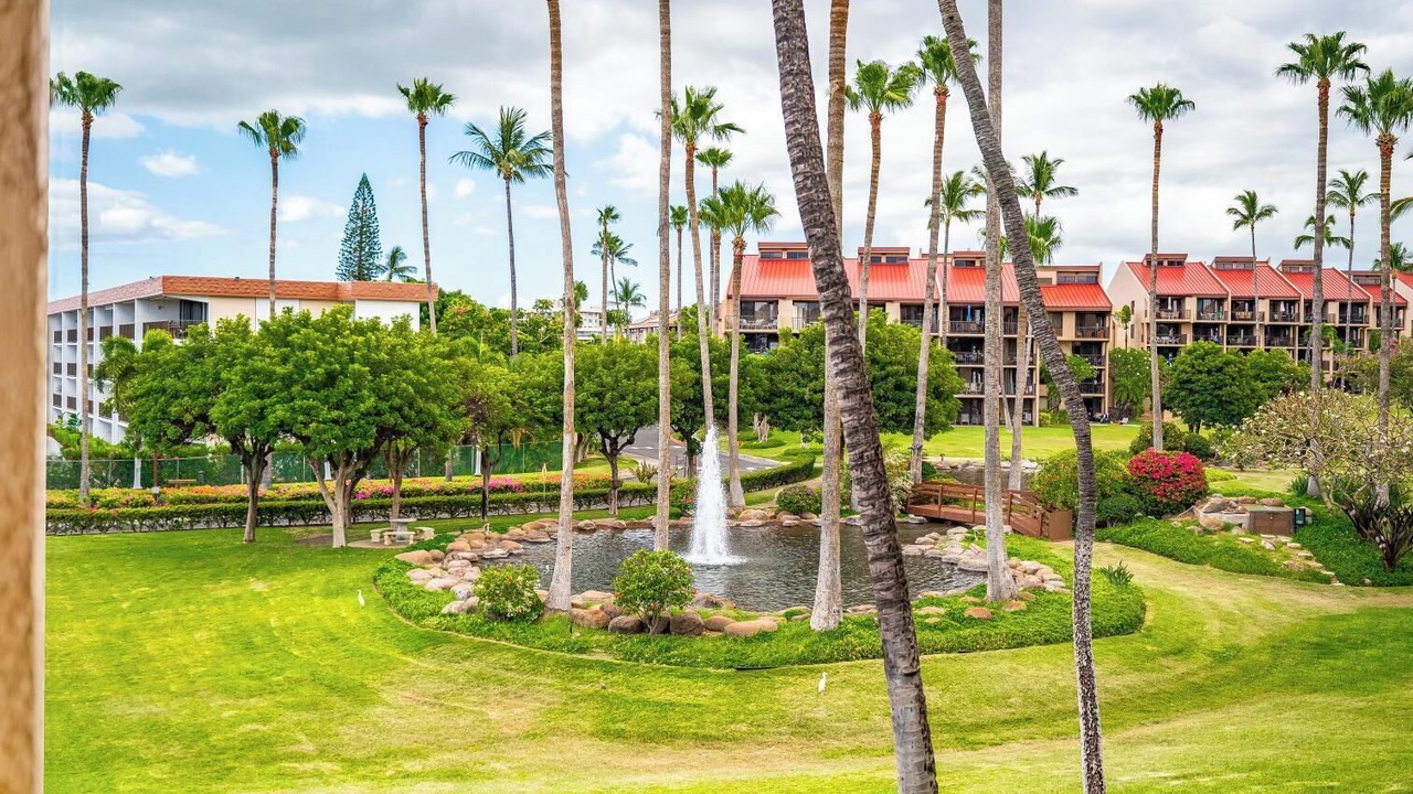 Photo of Outdoor in Kihei