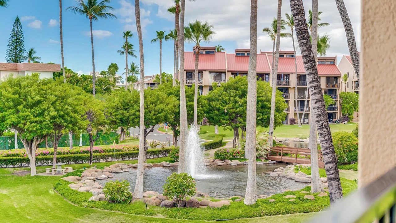 Photo of Outdoor in Kihei