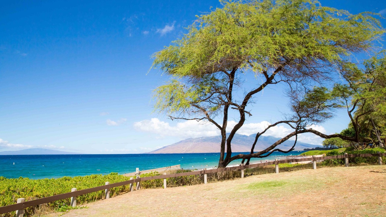 Photo of Others in Kihei