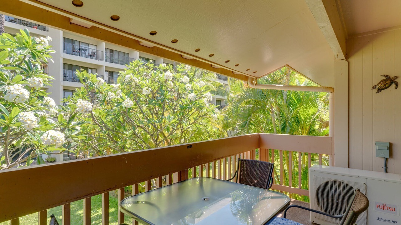 Photo of Outdoor in Kihei