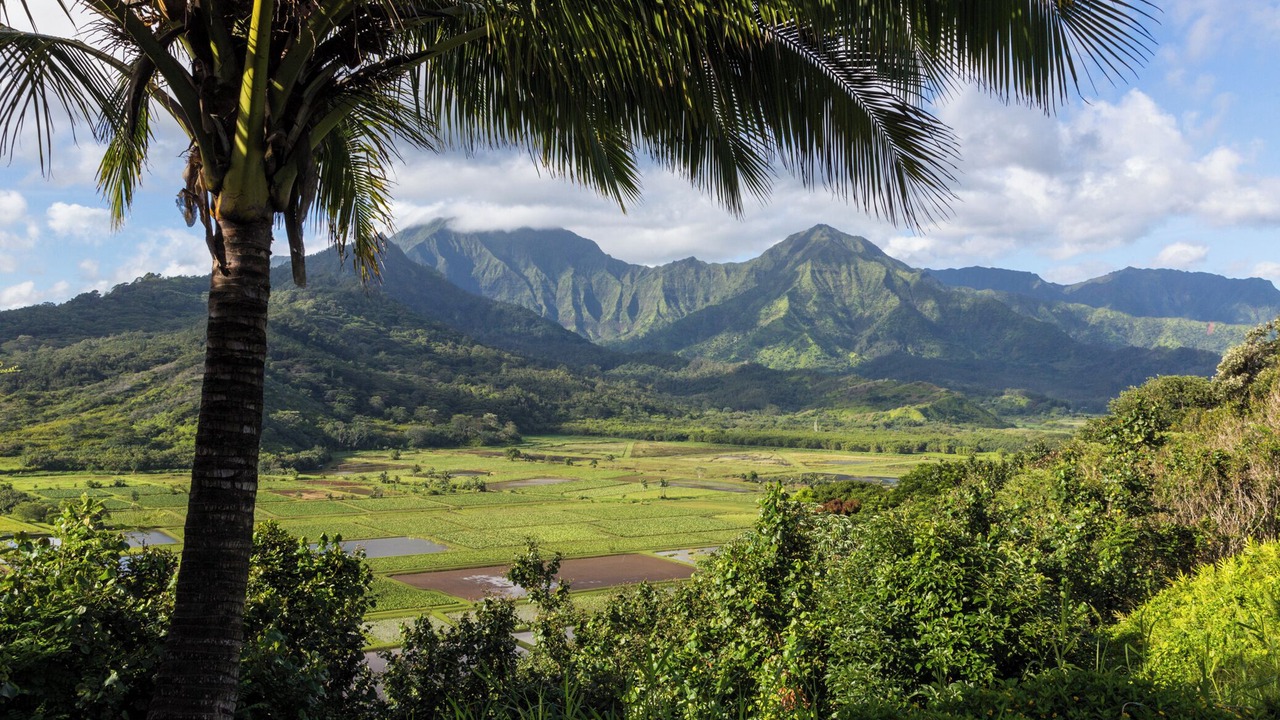 Photo of Others in Princeville