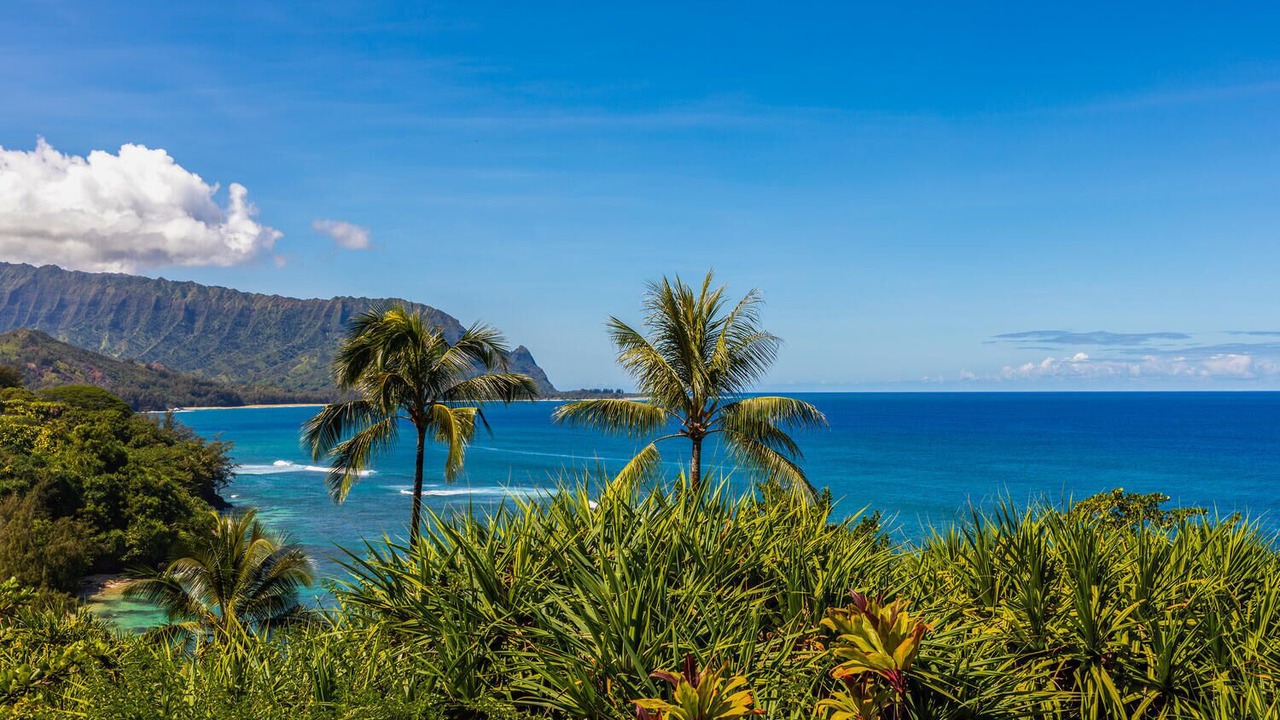 Photo of Others in Princeville