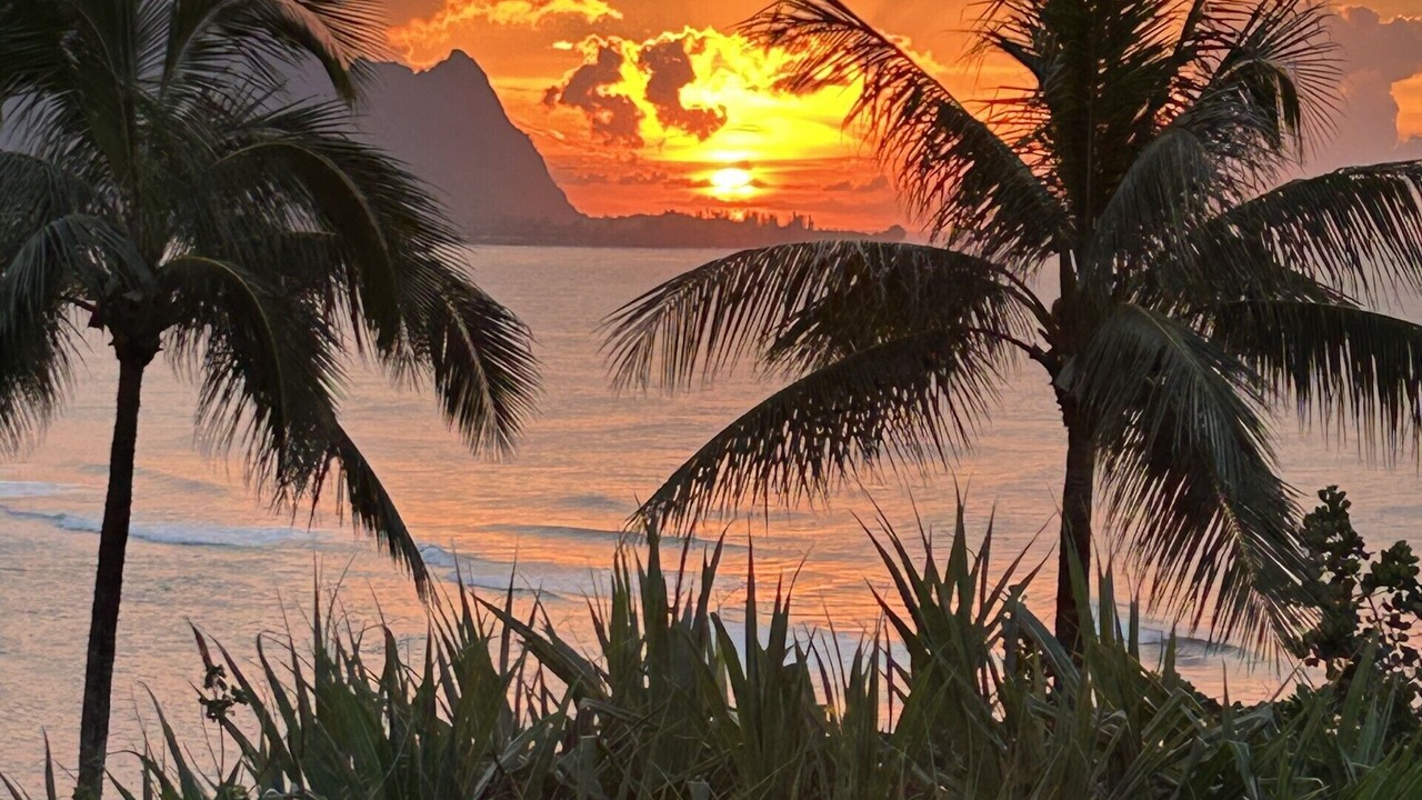 Photo of Others in Princeville