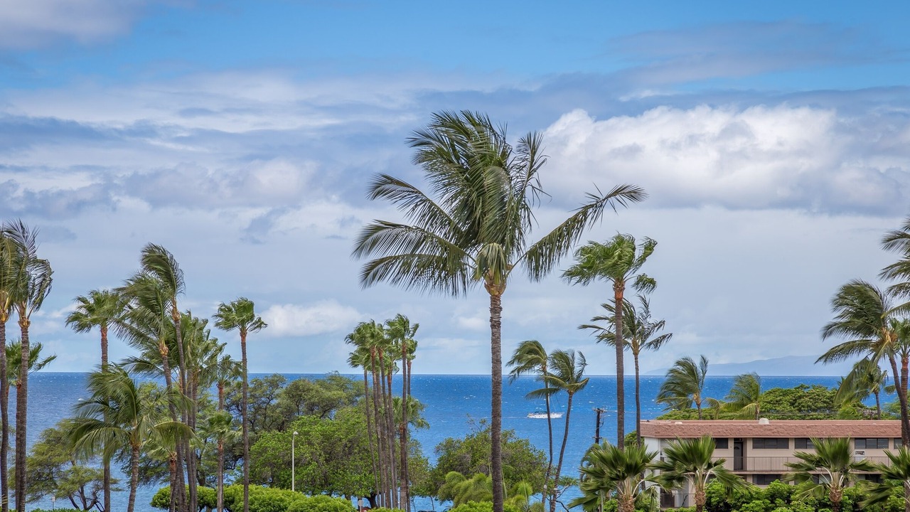 Photo of Others in Kihei