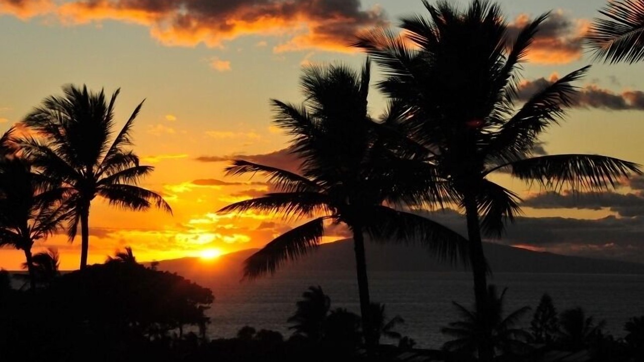 Photo of Others in Kihei