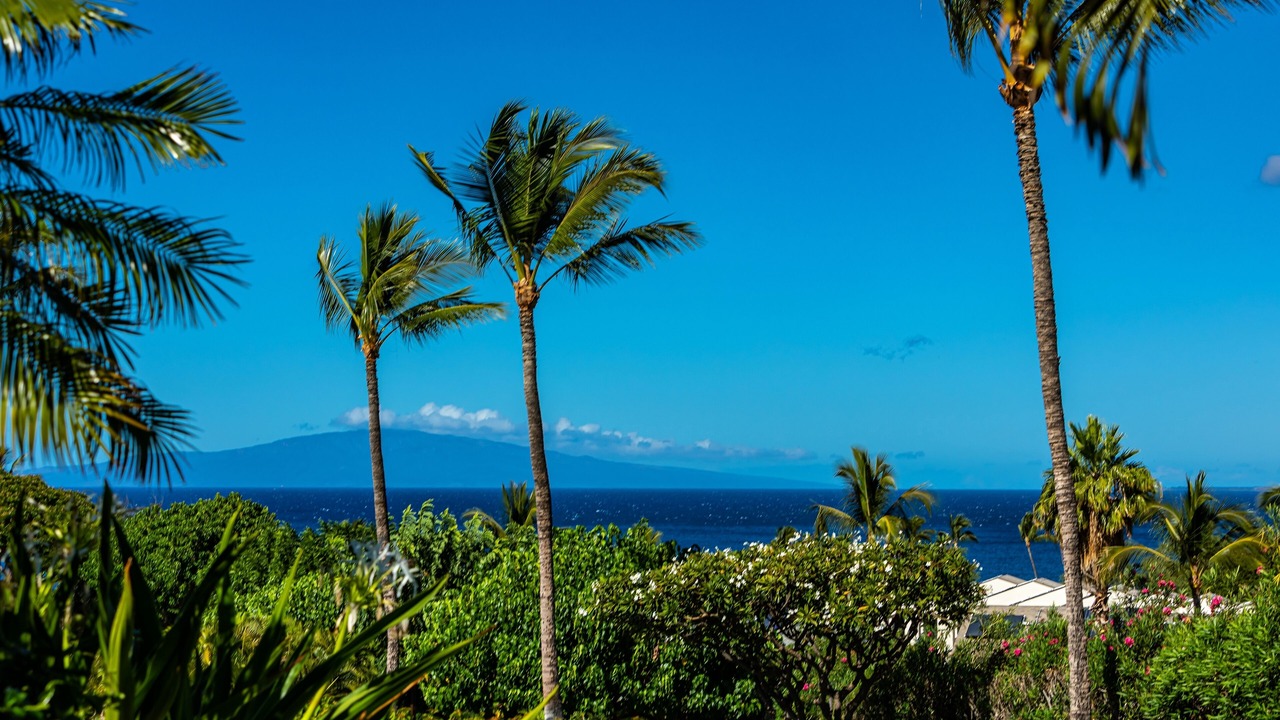Photo of Others in Kihei