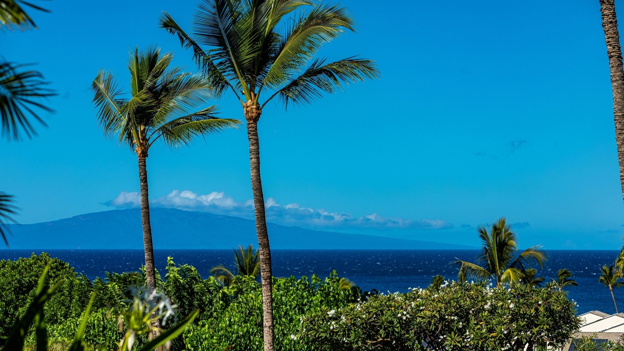 Photo of Others in Kihei