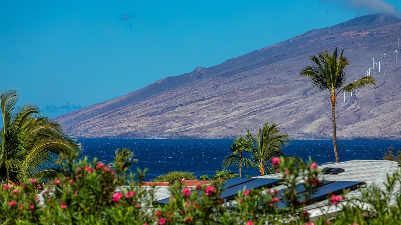 Photo of Others in Kihei