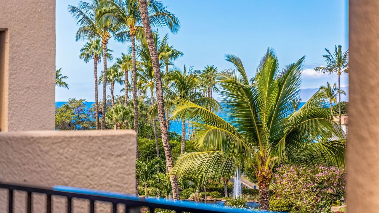 Photo of Outdoor in Kihei