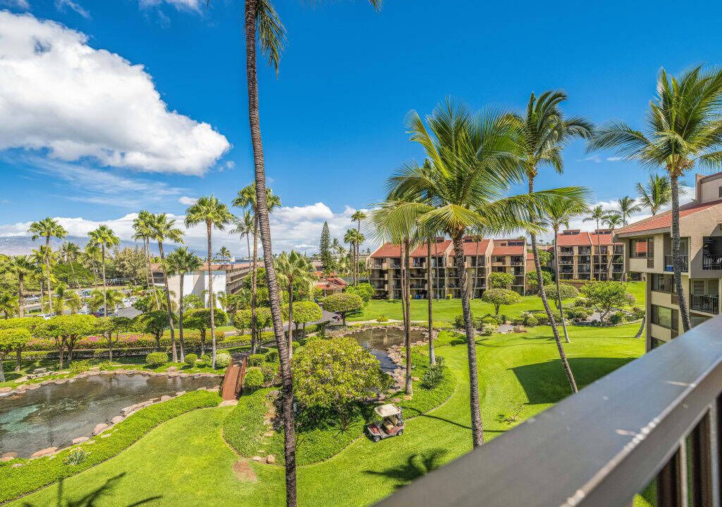 Photo of Outdoor in Kihei