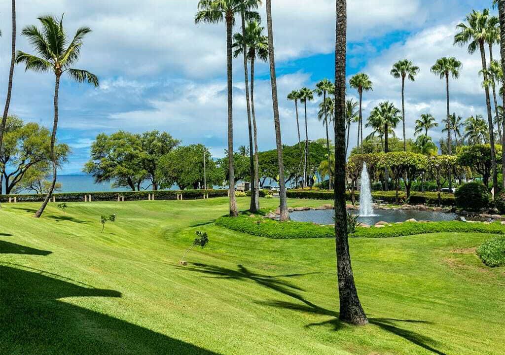 Photo of Others in Kihei