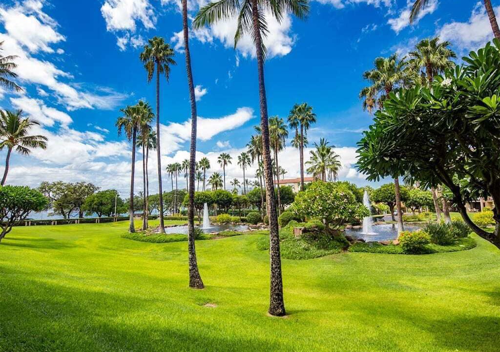 Photo of Outdoor in Kihei