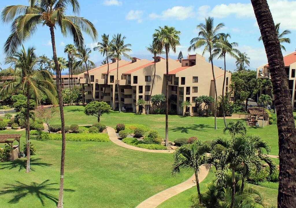 Photo of Outdoor in Kihei