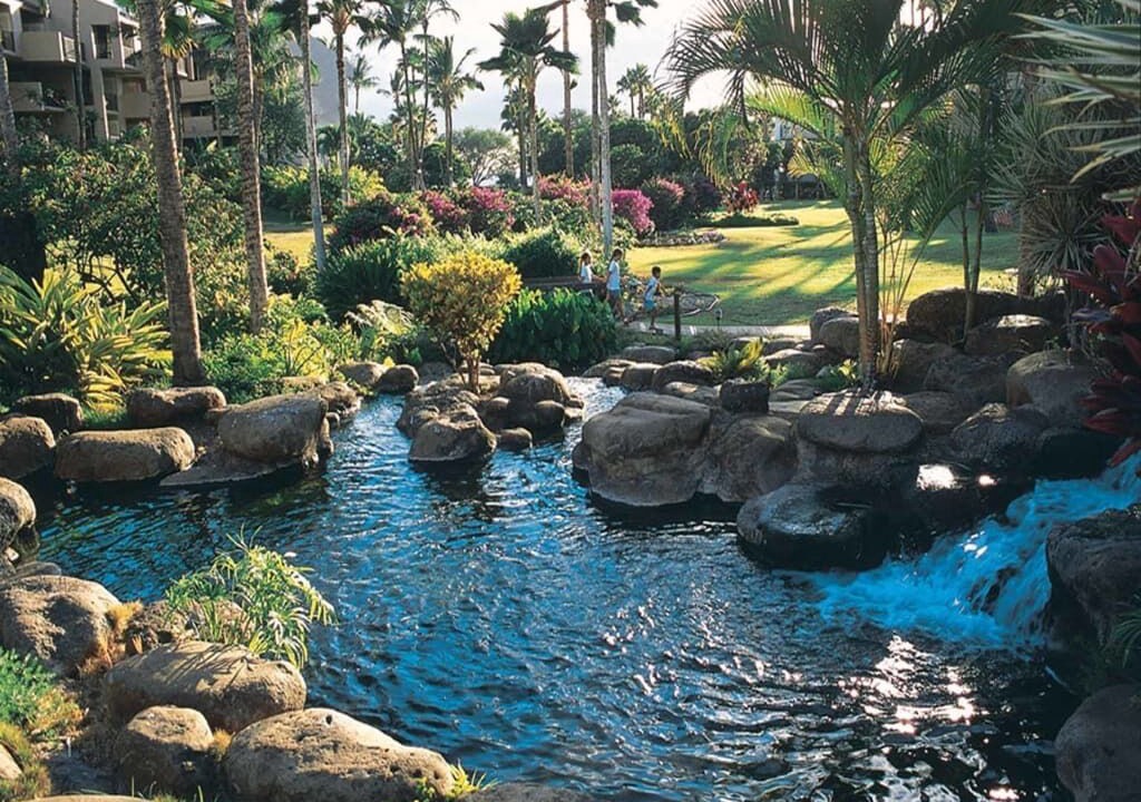 Photo of Outdoor in Kihei