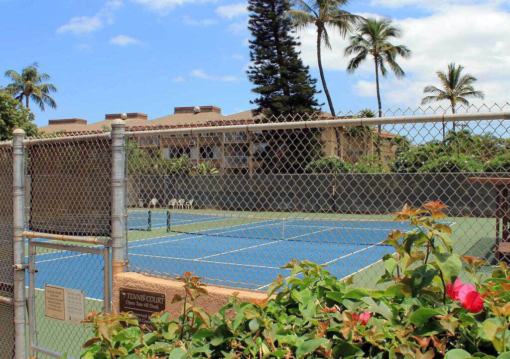 Photo of Others in Kihei