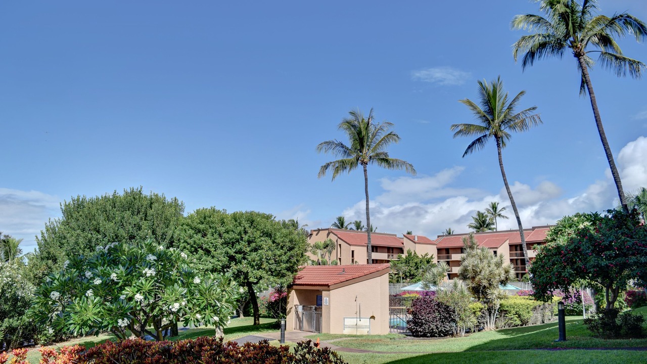 Photo of Outdoor in Kihei