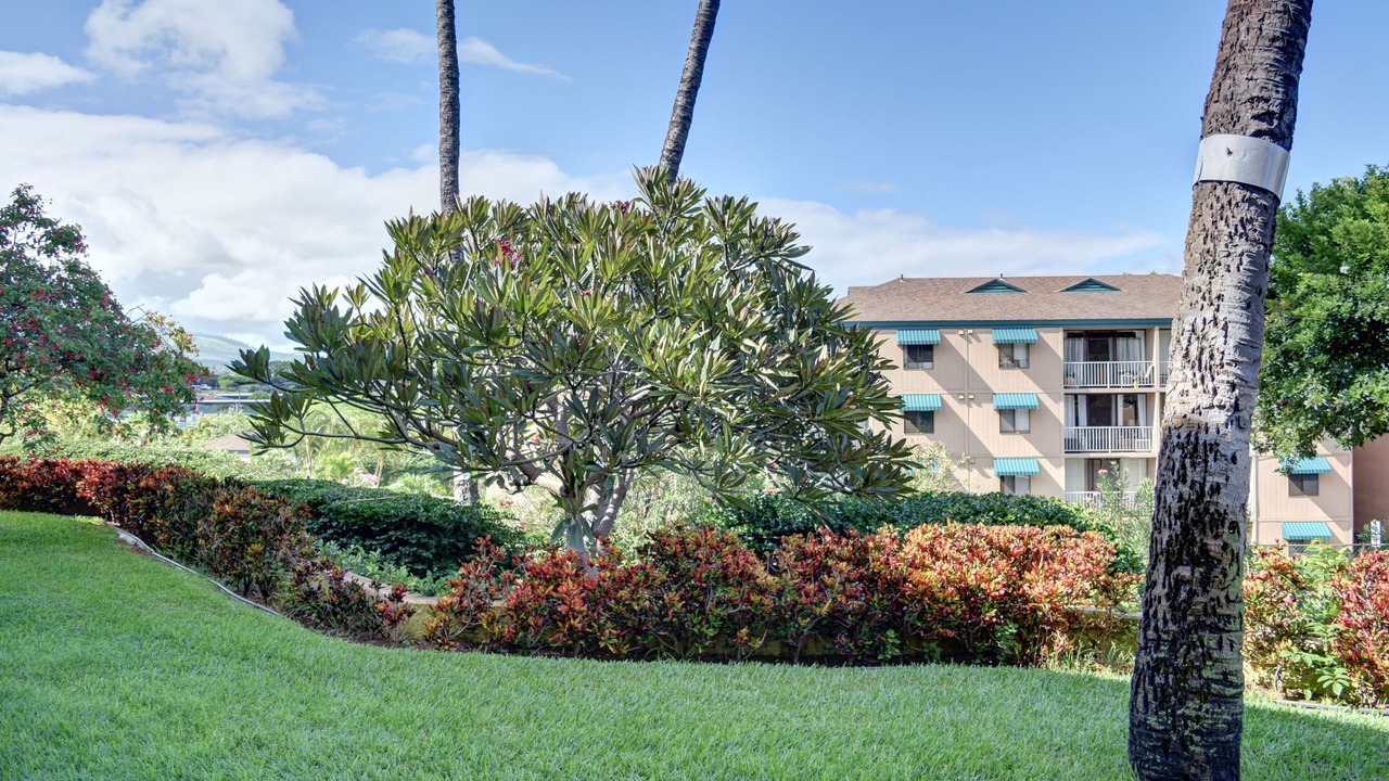 Photo of Others in Kihei