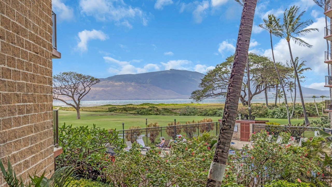 Photo of Outdoor in Kihei