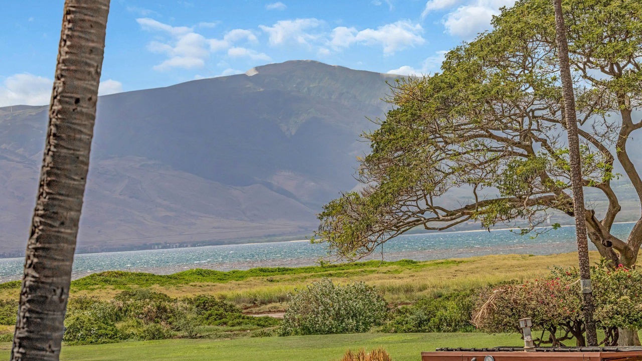 Photo of Others in Kihei