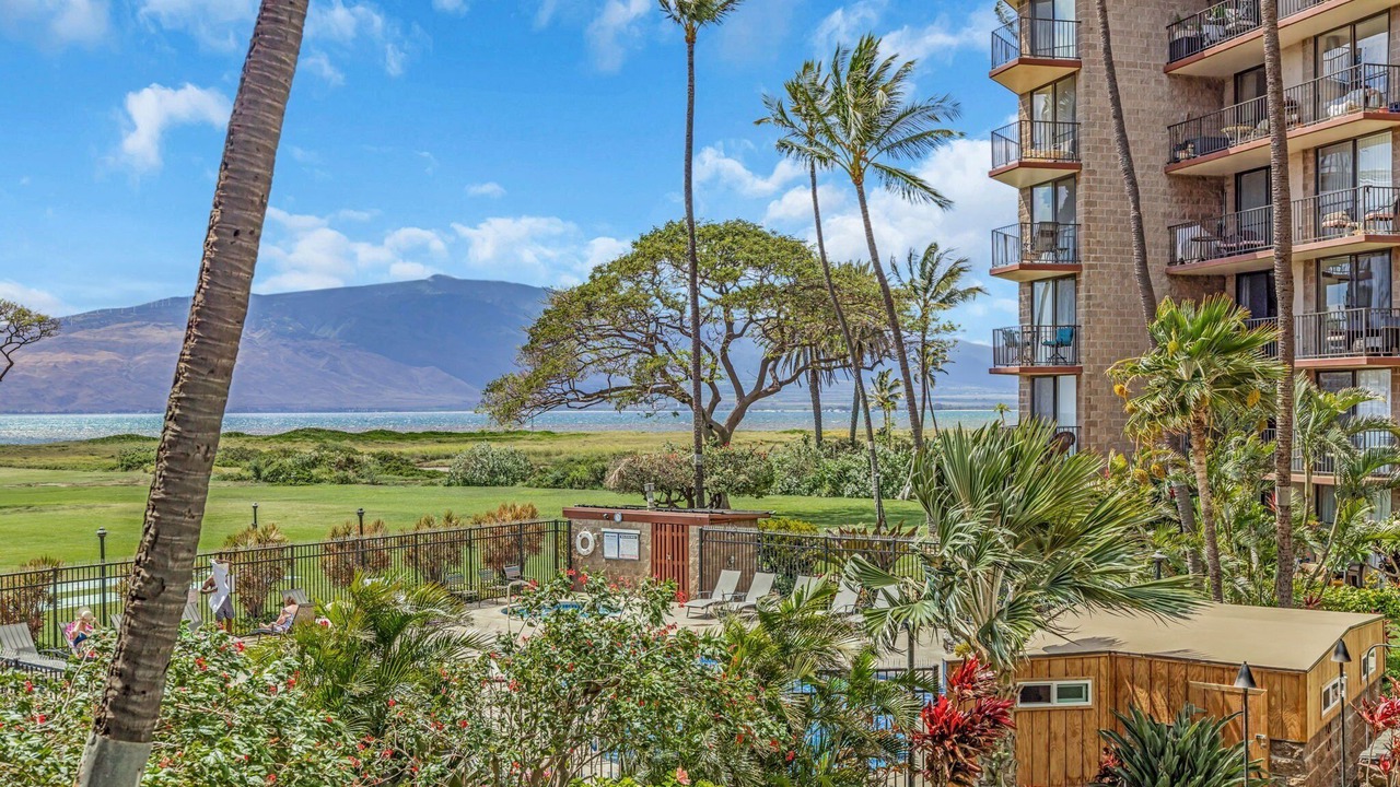 Photo of Outdoor in Kihei