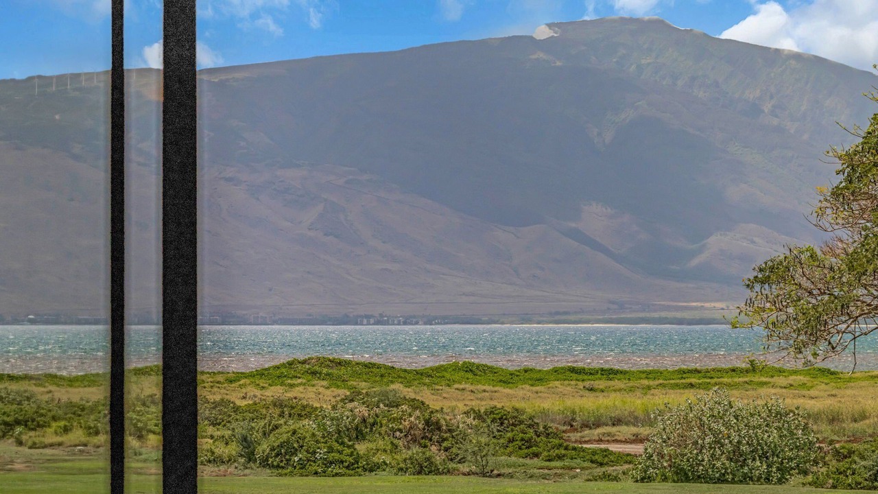 Photo of Others in Kihei