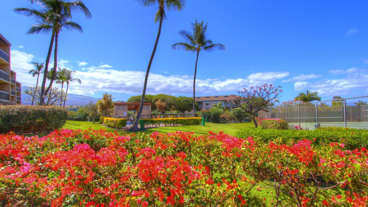 Photo of Others in Kihei