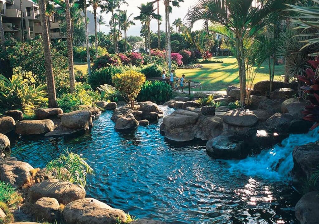 Photo of Outdoor in Kihei