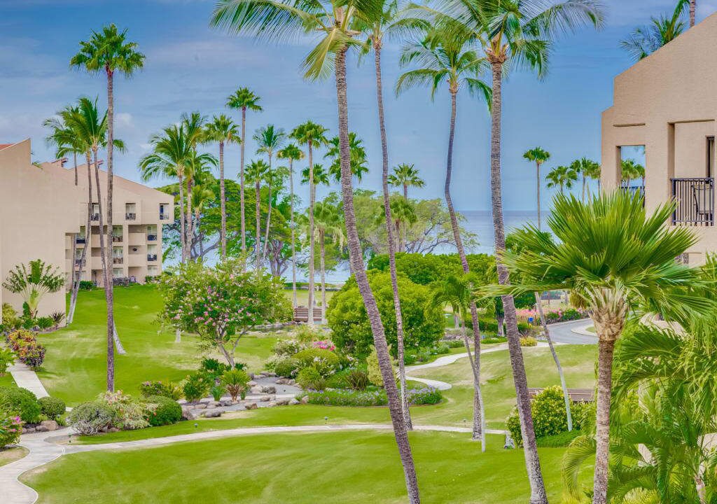 Photo of Outdoor in Kihei