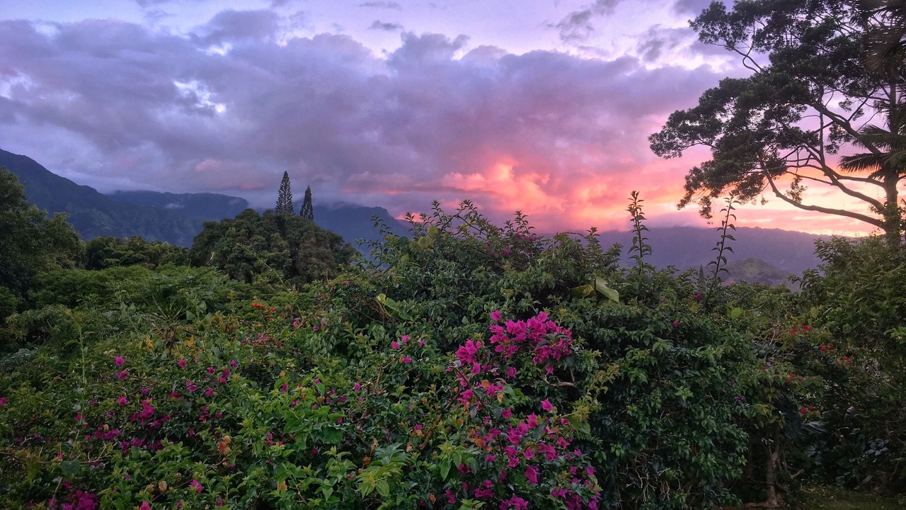 Photo of Others in Princeville