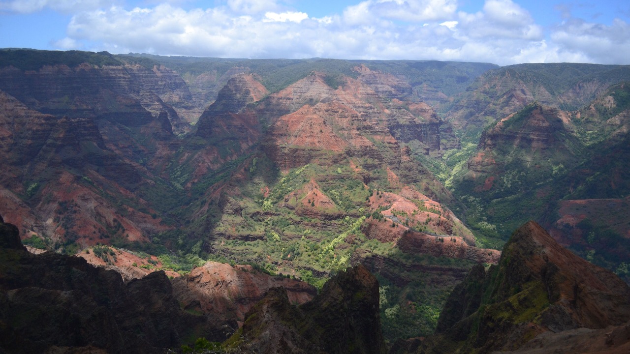 Photo of Others in Princeville