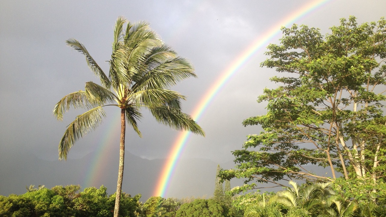 Photo of Others in Princeville