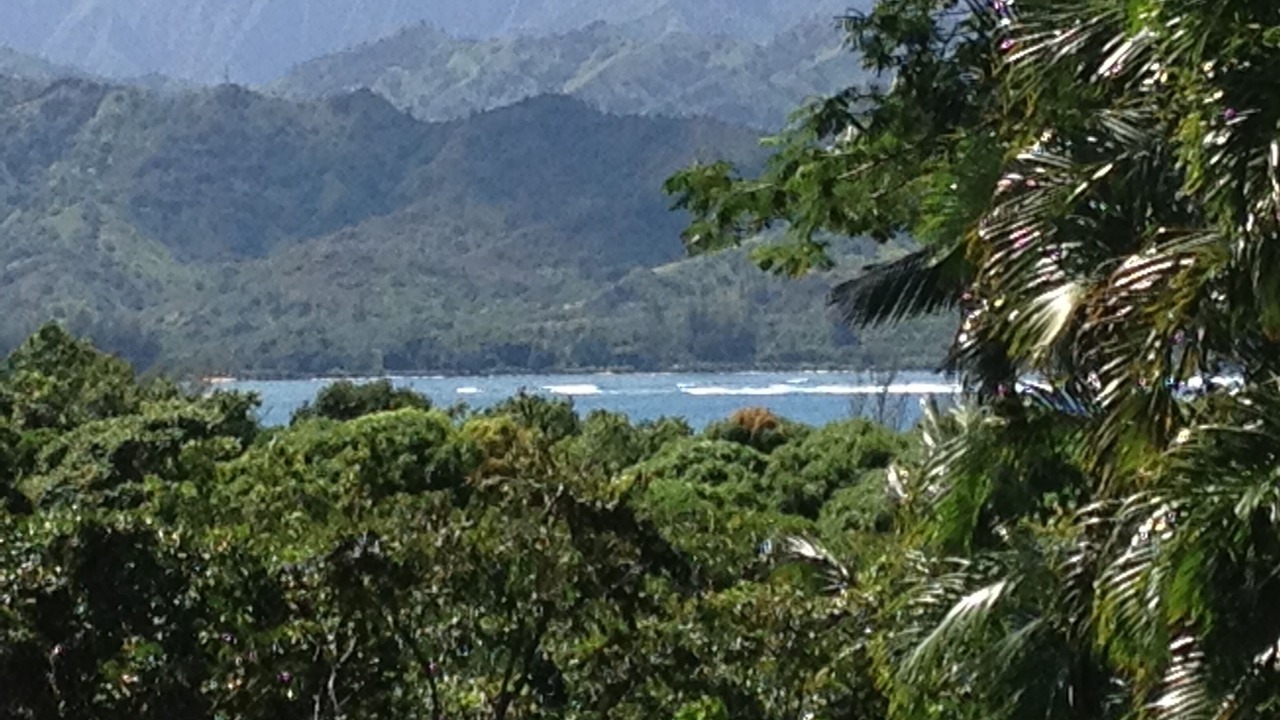 Photo of Others in Princeville