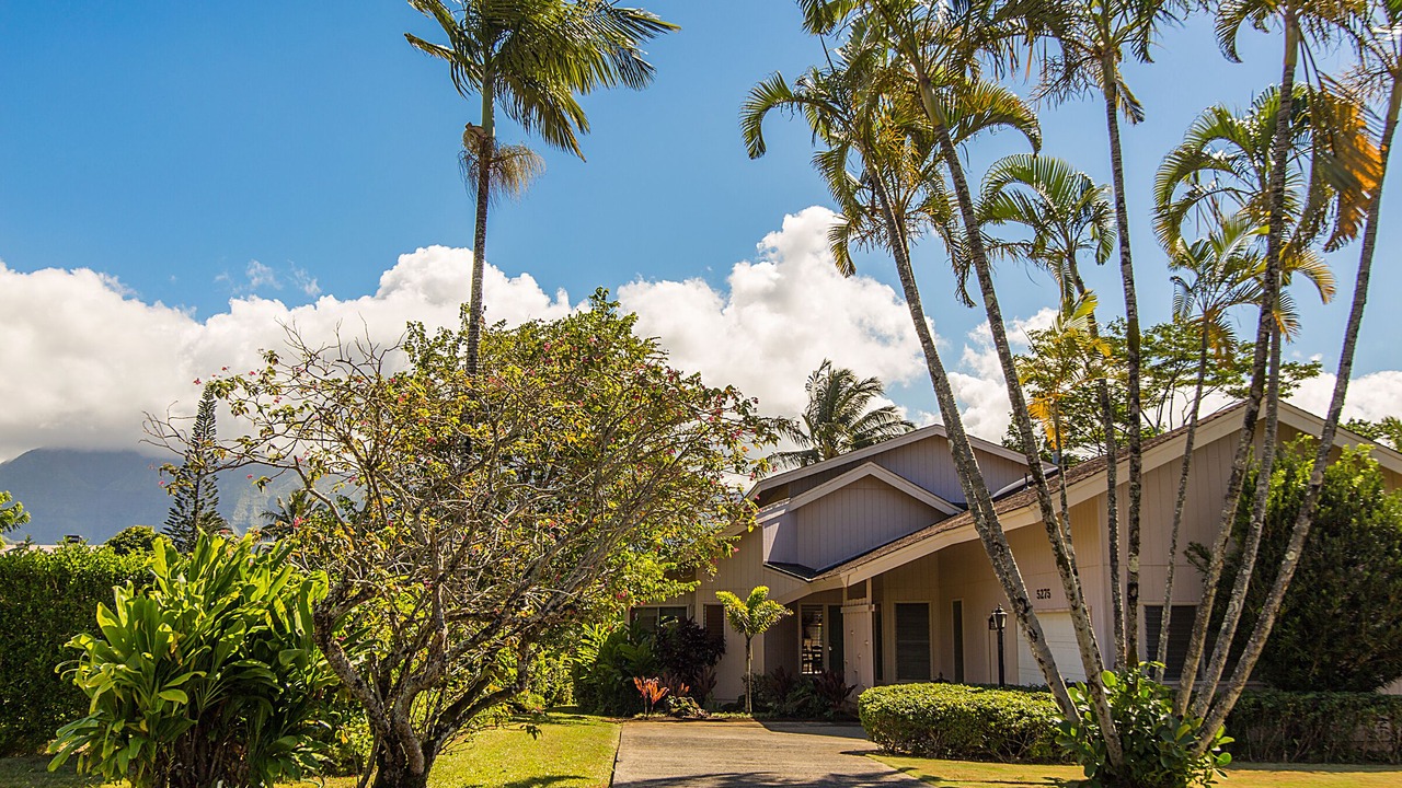 Photo of Others in Princeville