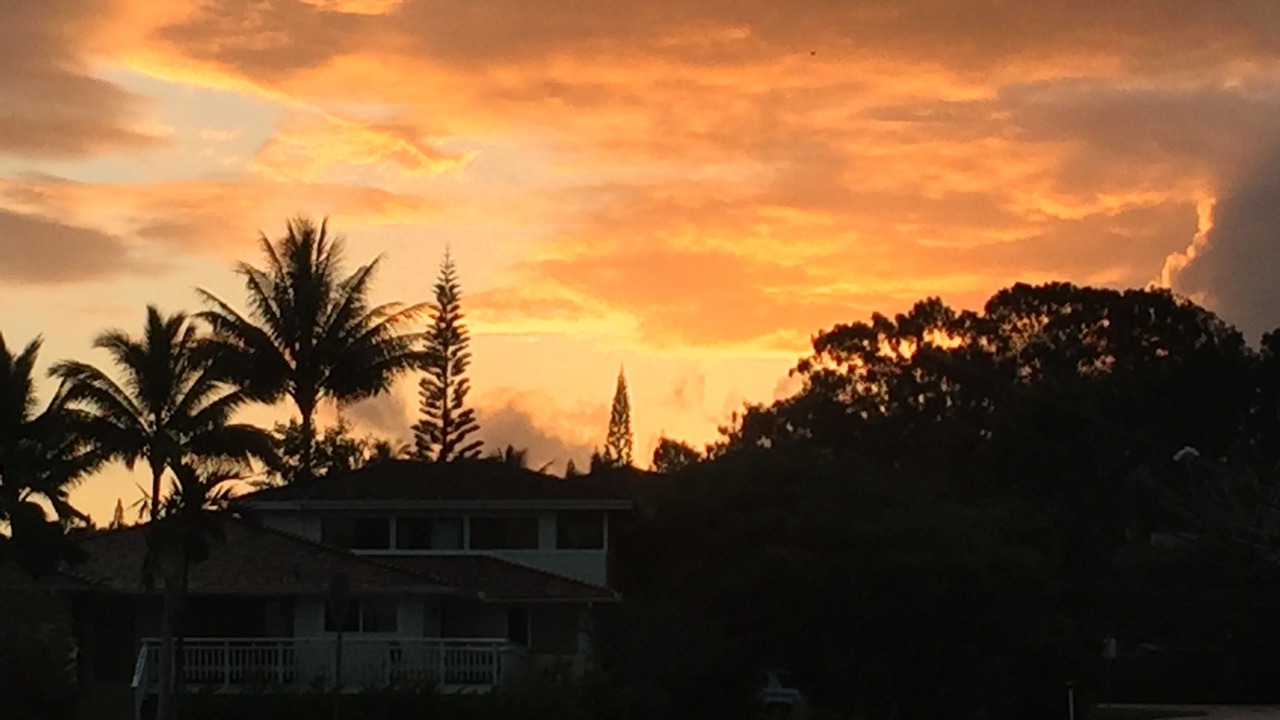 Photo of Others in Princeville