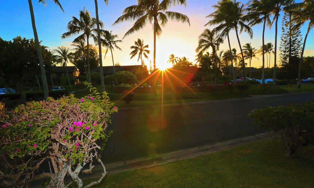 Photo of Outdoor in Kahuku