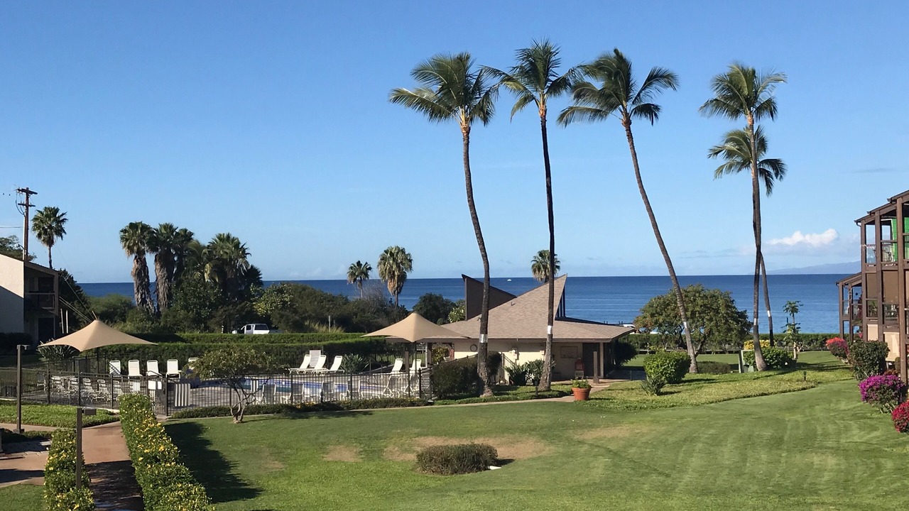 Photo of Outdoor in Kihei