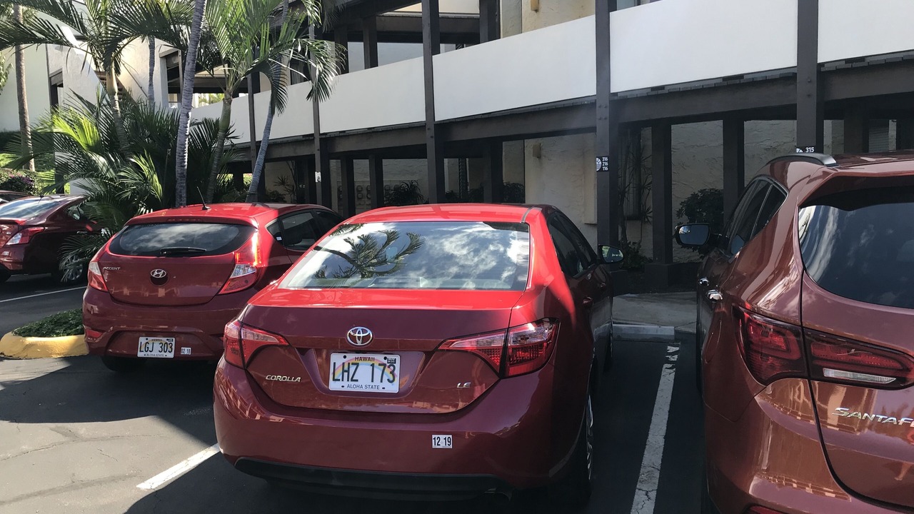 Photo of Others in Kihei