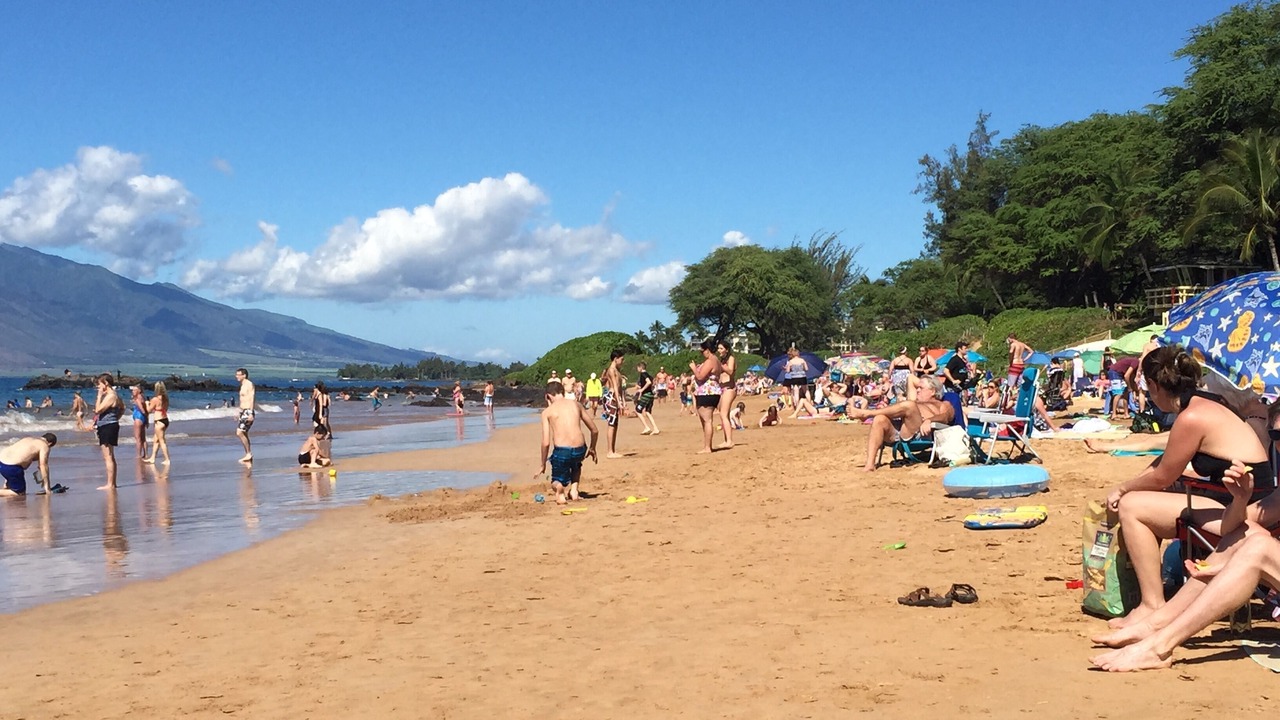 Photo of Others in Kihei
